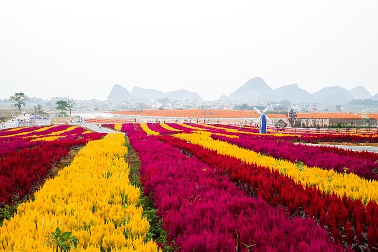 富川神仙湖  四季花海美