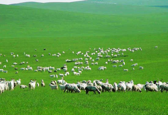 住建部旅游局支持旅游业发展