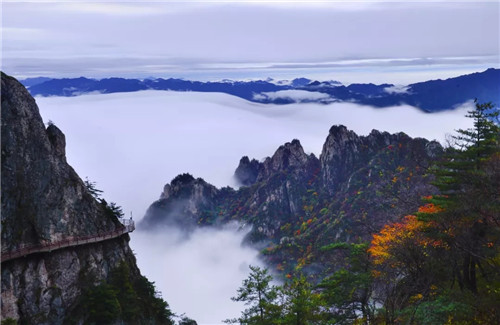 老君山上秋雨霏霏 看烟雨“行舟”