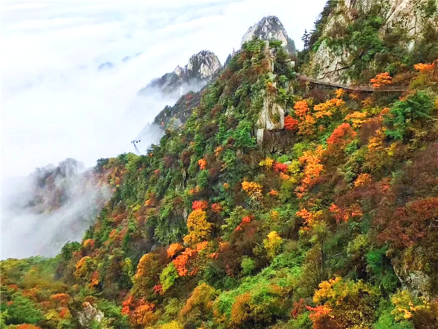 2019醉美尧山红叶节 景区免门票、精彩活动享不停