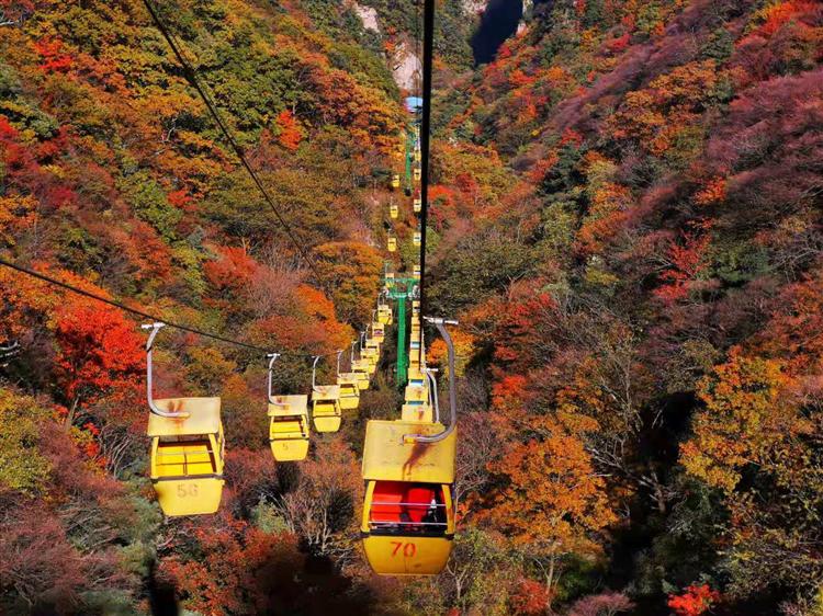 河南平顶山市金秋旅游产品发布会暨第九届醉美尧山红叶节开幕式隆重举行